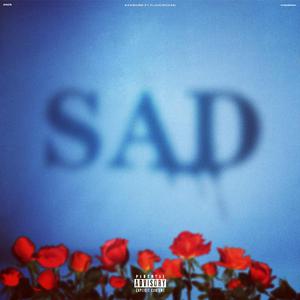 老七把白洁裤子脱了是哪一集
