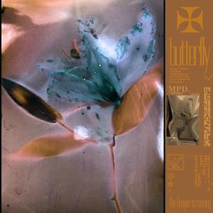 老七把白洁裤子脱了是哪一集
