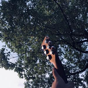 老七把白洁裤子脱了是哪一集
